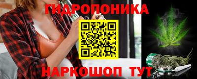 ПСИЛОЦИБИНОВЫЕ ГРИБЫ Нальчик